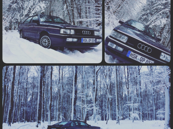 Audi Coupé Quattro in seiner natürlich Umgebung im Wald